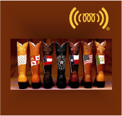 2008 International Conference on the Ultrasonic Measurement and Imaging of Tissue Elasticity 