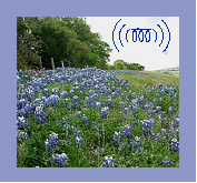 2005 International Conference on the Ultrasonic Measurement and Imaging of Tissue Elasticity 